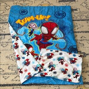 Spidey and Friends sheet and comforter set!
